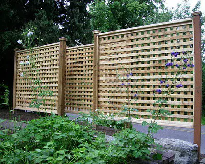 12 Simple Landscaping Ideas For Privacy In Your Yard Zacs Garden