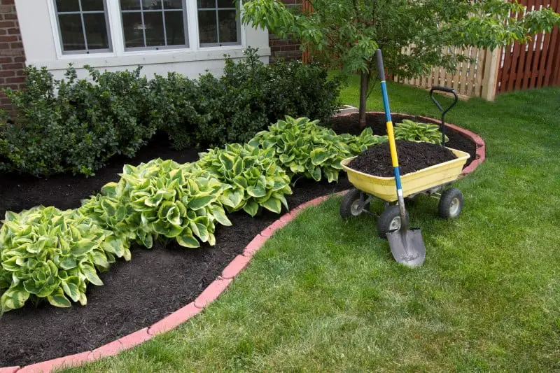How to Start a Garden - Working on Garden