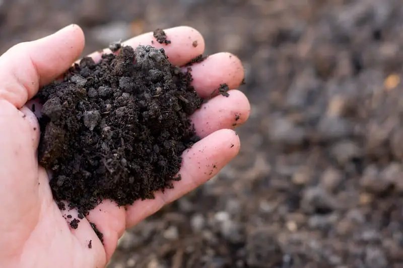14 ingredients for organic fertilizer & exactly what they