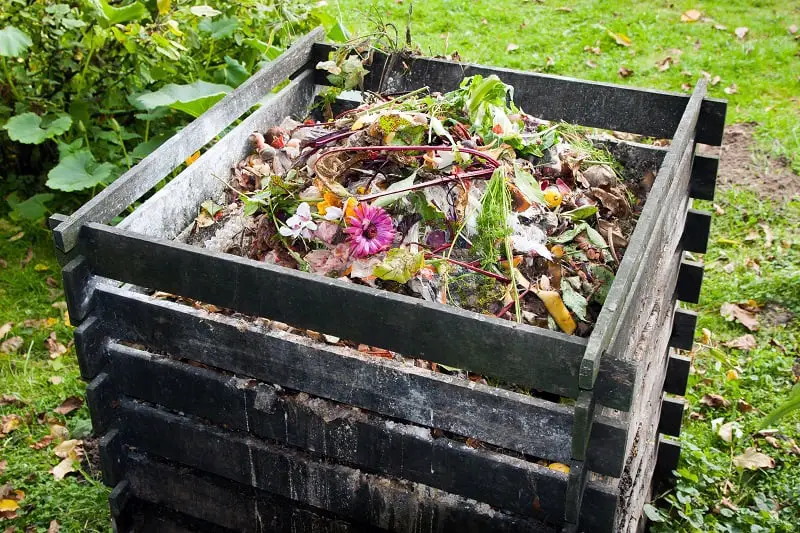 How to prepare soil - compost bin at back of yard