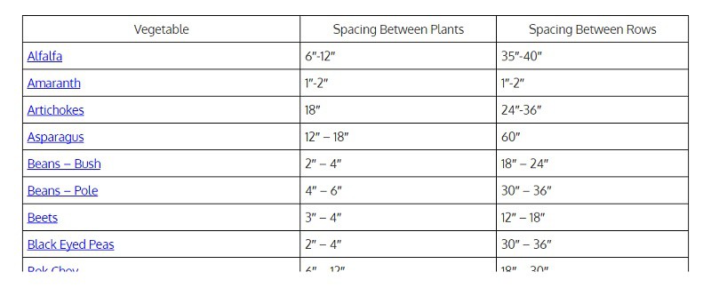 The Beginner S Guide To Plant Spacing A Few Do It For You