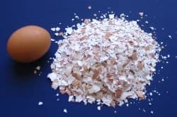 egg_shell_fertilizer