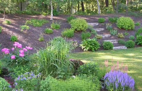 Practical Landscaping Ideas You Can Use For Any Yard