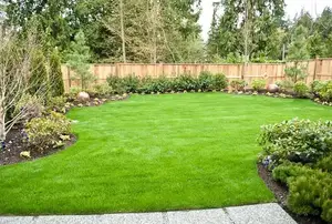 How to landscape a big backyard