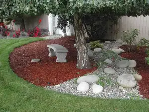 16 Landscaping Ideas Around Trees, Landscaping Ideas Around Trees