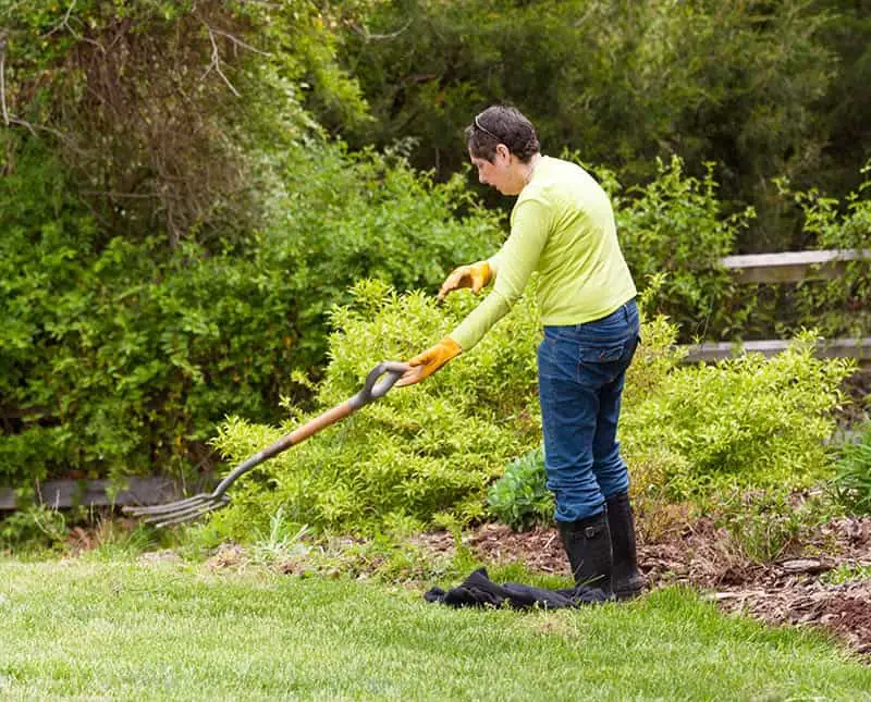 The 5 Best Garden Forks for Homeowners and their Gardens | ZG