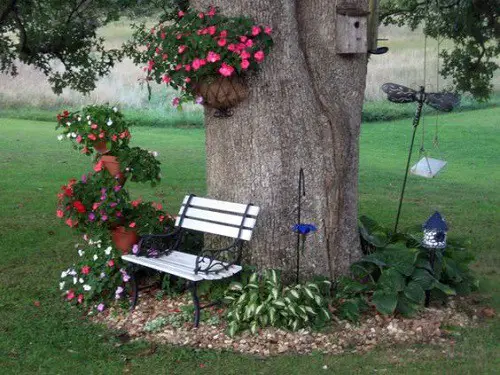 16 landscaping ideas around trees - zacs garden