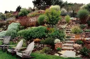 21 Landscaping Ideas for Slopes - Slight, Moderate and Steep