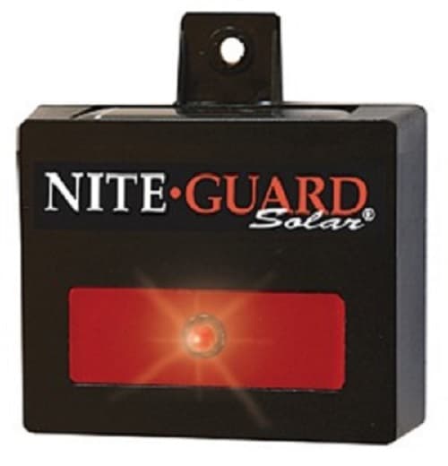 Nite-Guard-Solar-Predator-Bird-scarer288x300