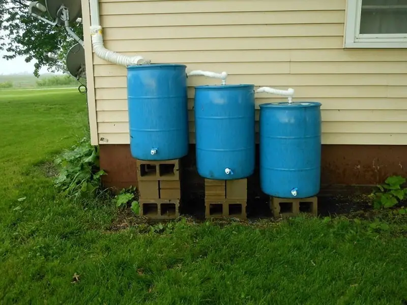 3 blue rain barrels